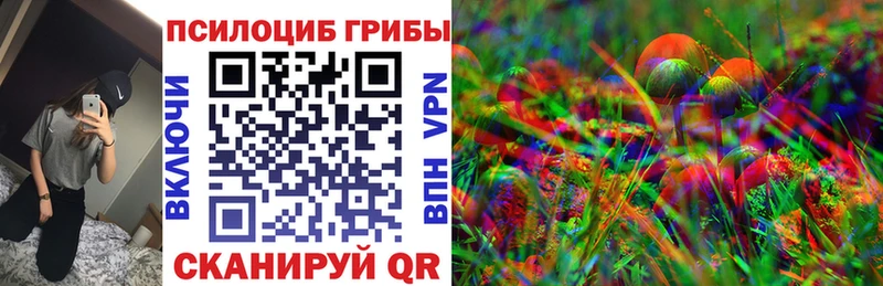 Псилоцибиновые грибы Psilocybe  где можно купить   Красногорск 