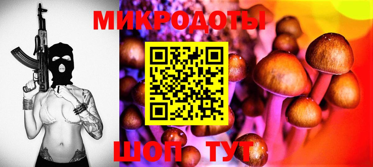 Красногорск  Галлюциногенные грибы Psilocybine cubensis  Вход с VPN 